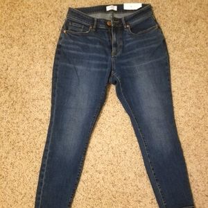 Loft Outlet Jeans